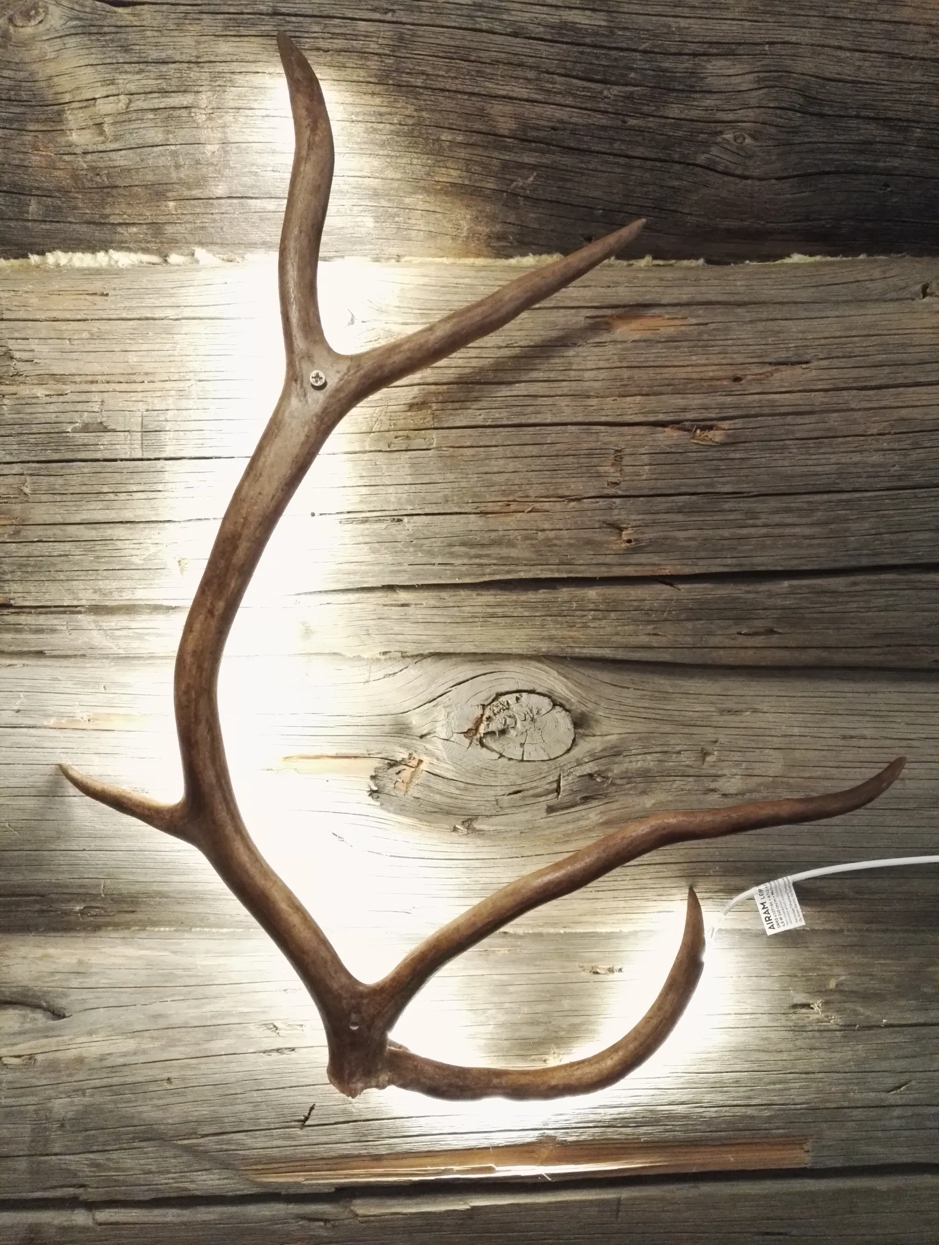 Kelotupa 19 poronsarvivalot