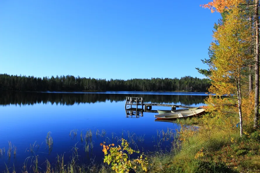 Kovalammen rantamaisemaa soutuveneiden alueelta